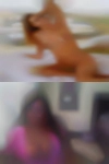 Housewives looking cock