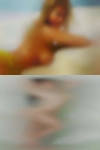 Housewives looking cock